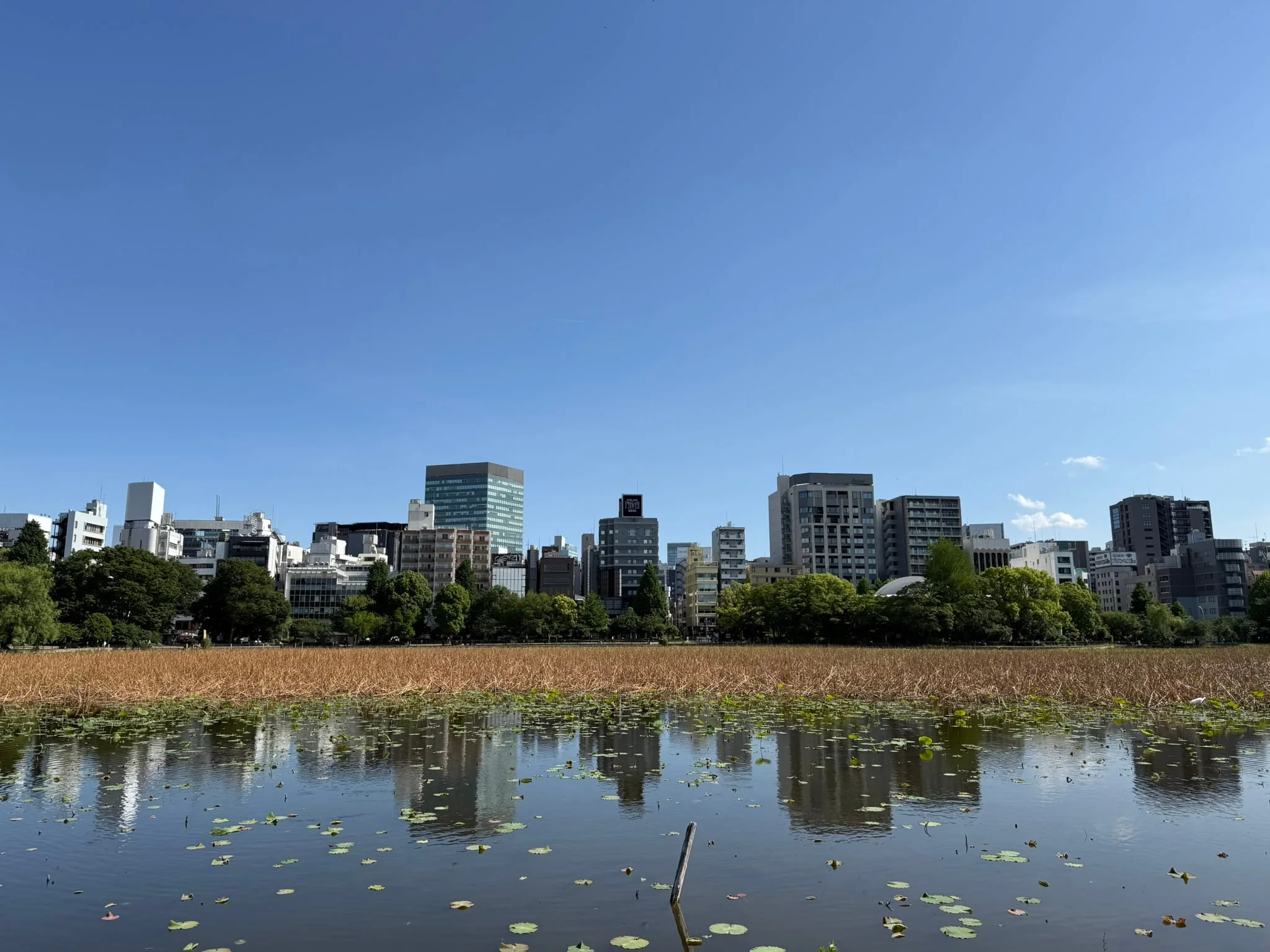 Tokyo photo 6