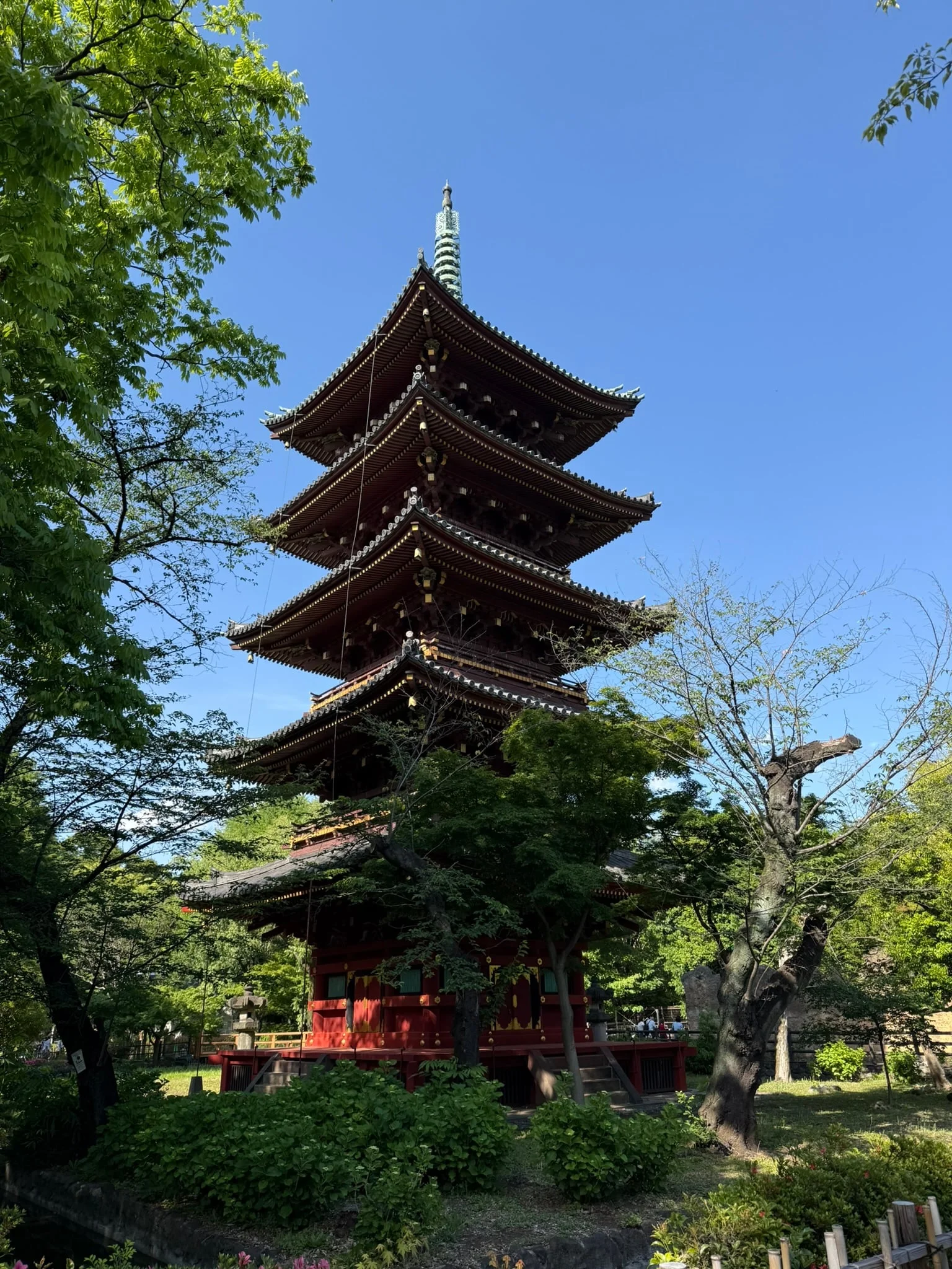 Tokyo photo 7