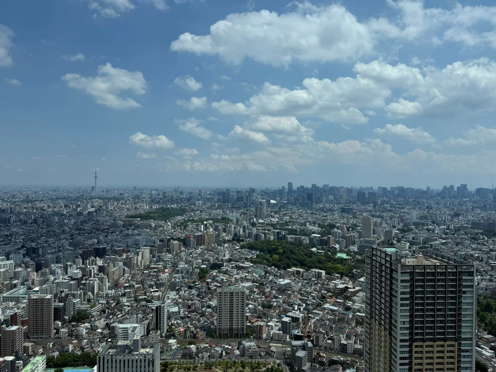 Tokyo photo 10