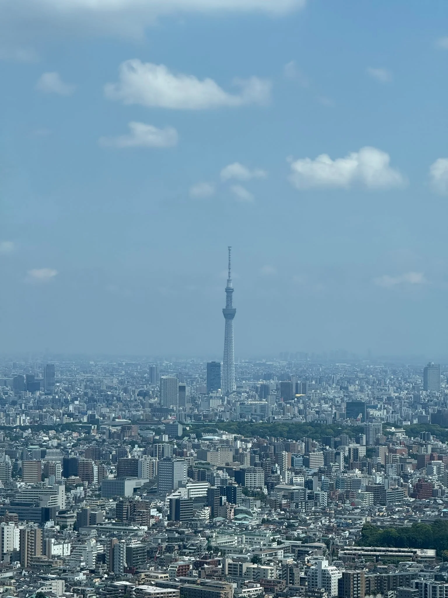 Tokyo photo 13