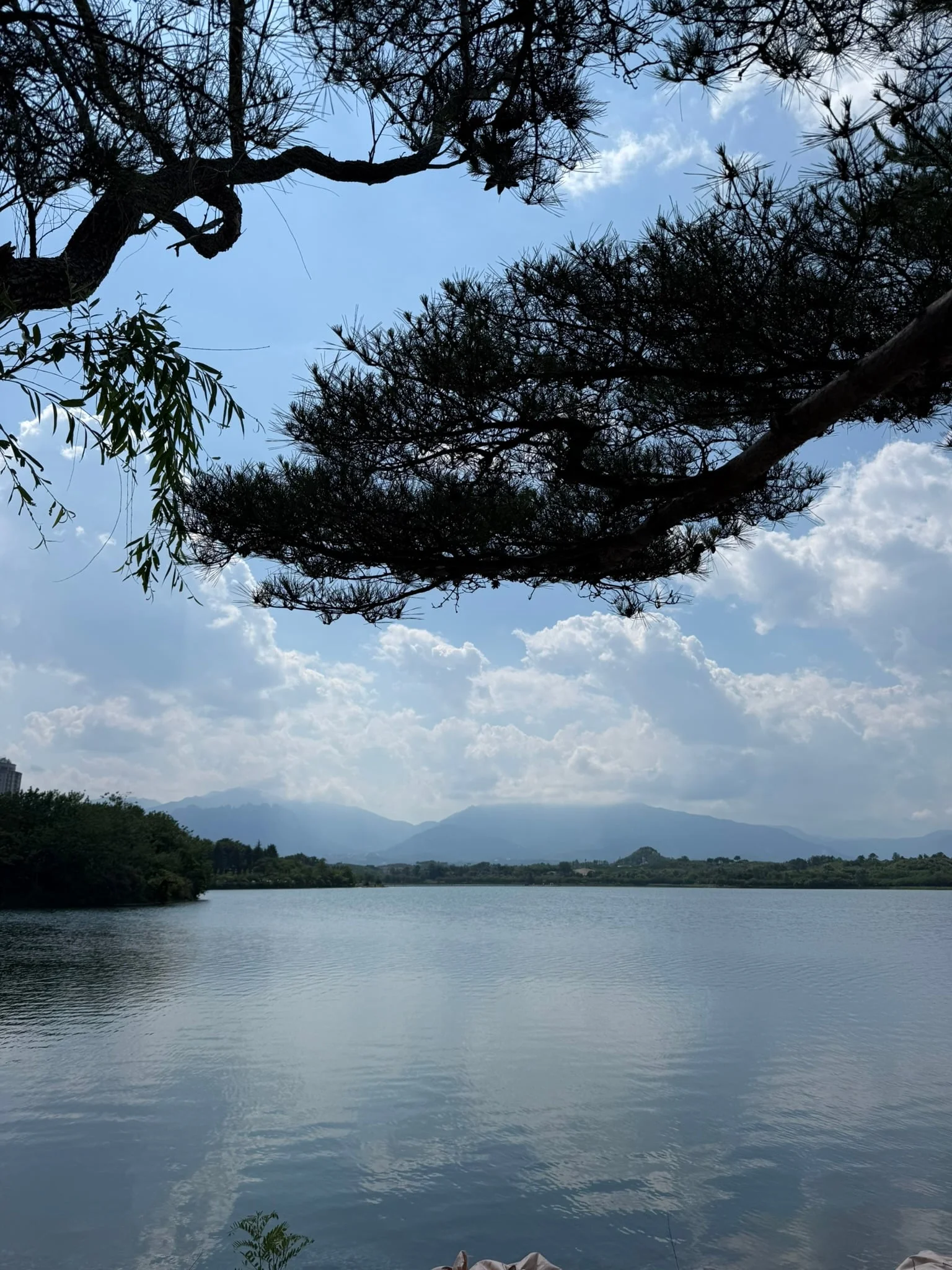Sokcho photo 9