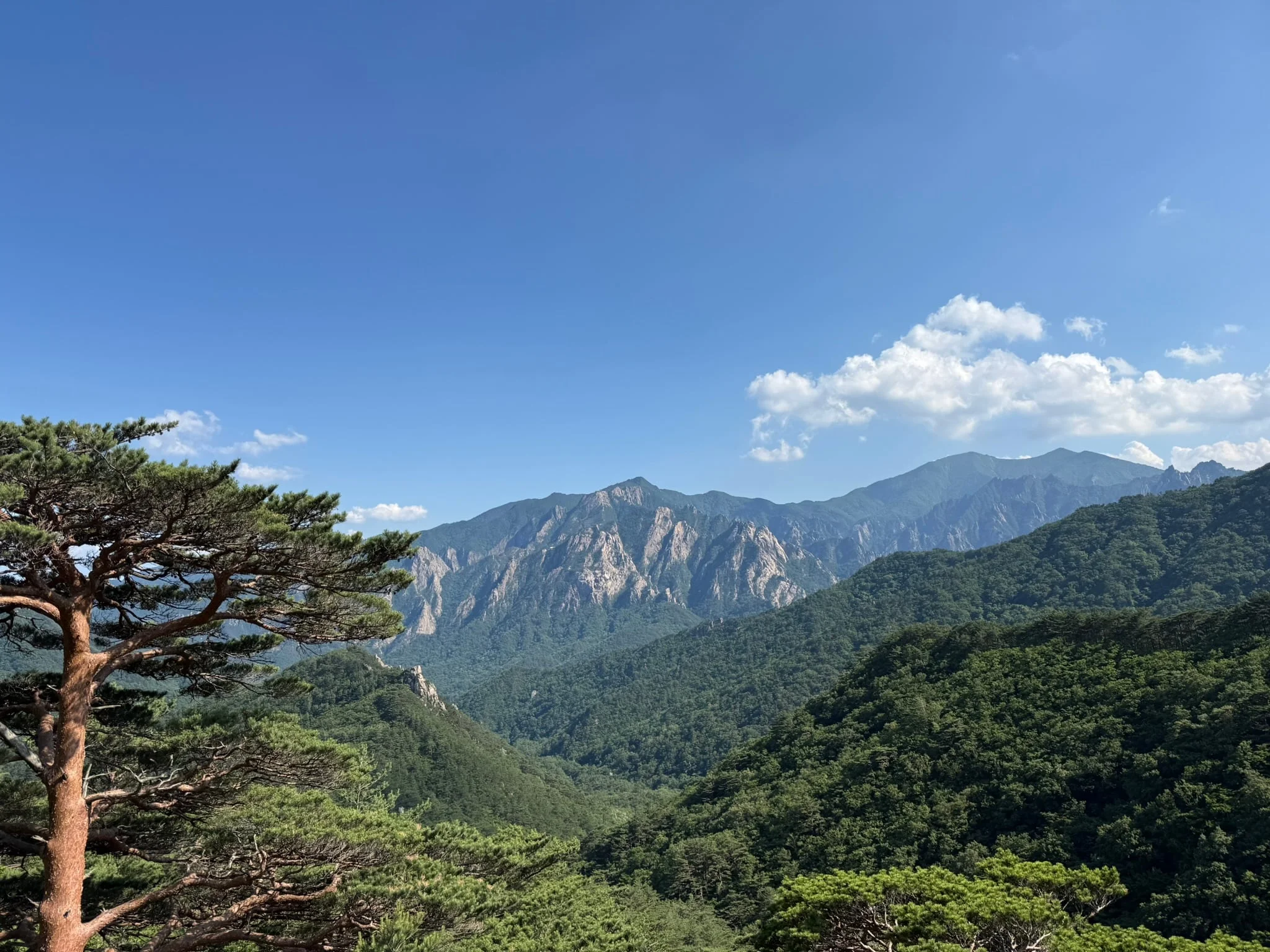 Sokcho photo 18