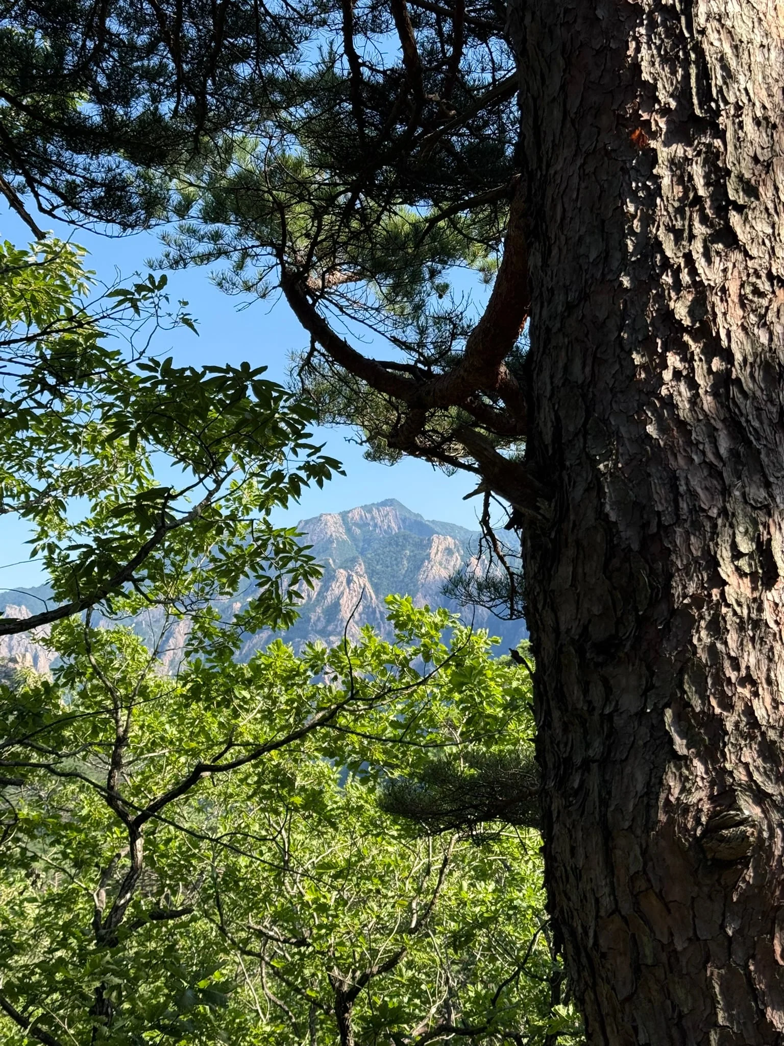 Sokcho photo 19