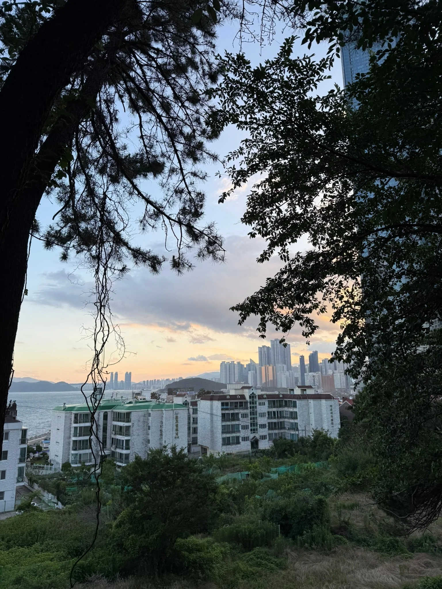 Busan photo 1