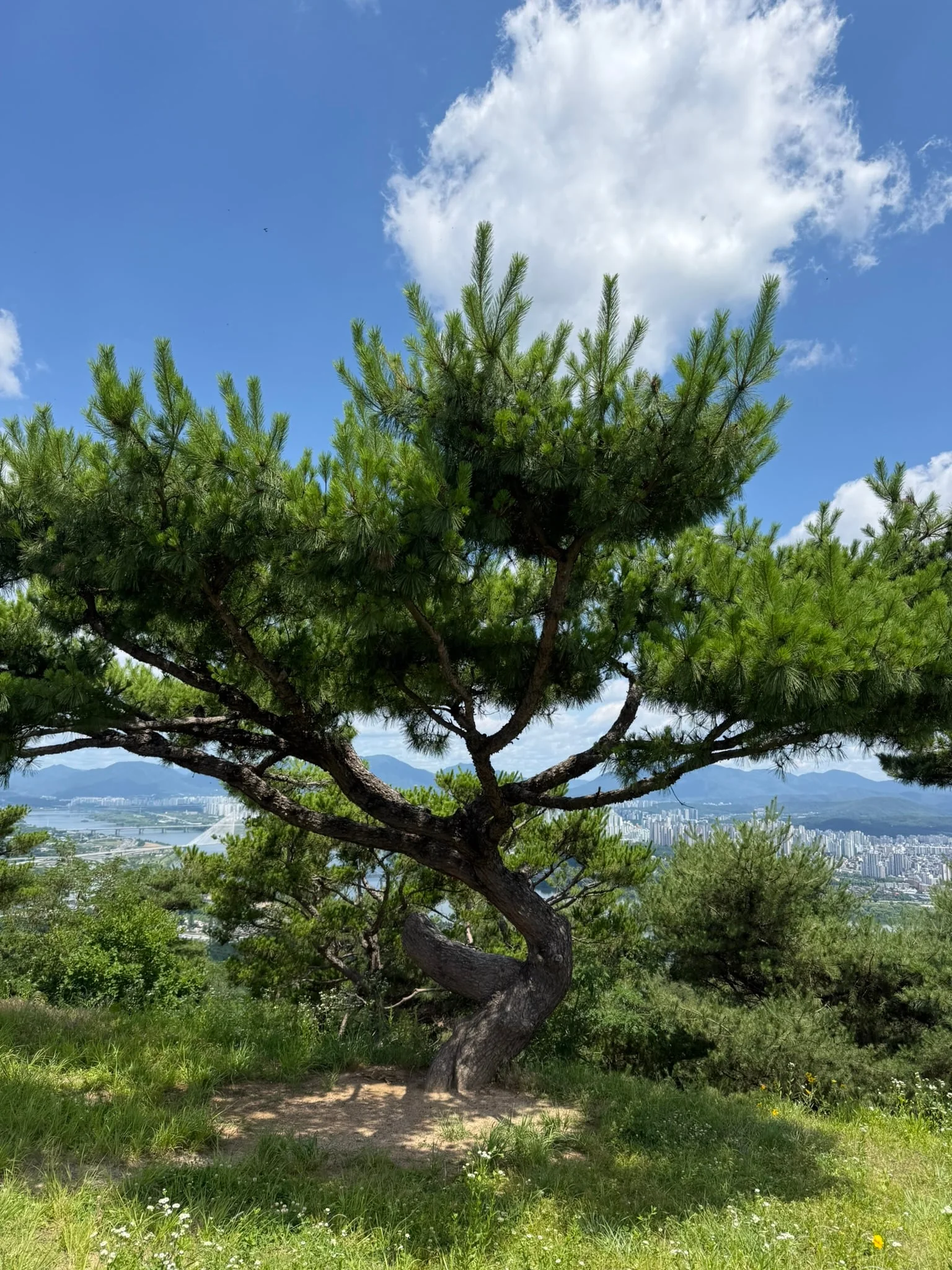 Seoul photo 30