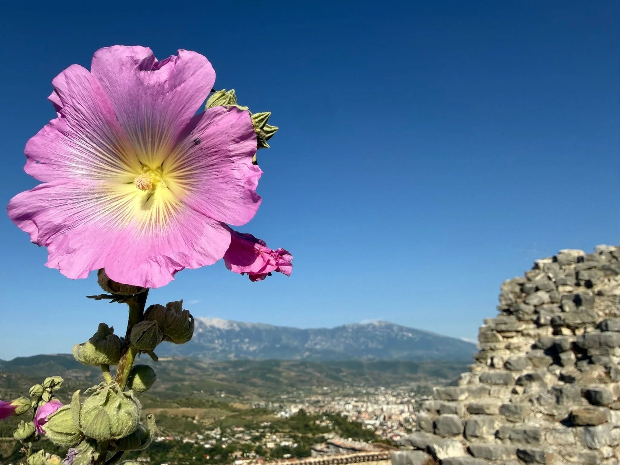 Berat photo 4