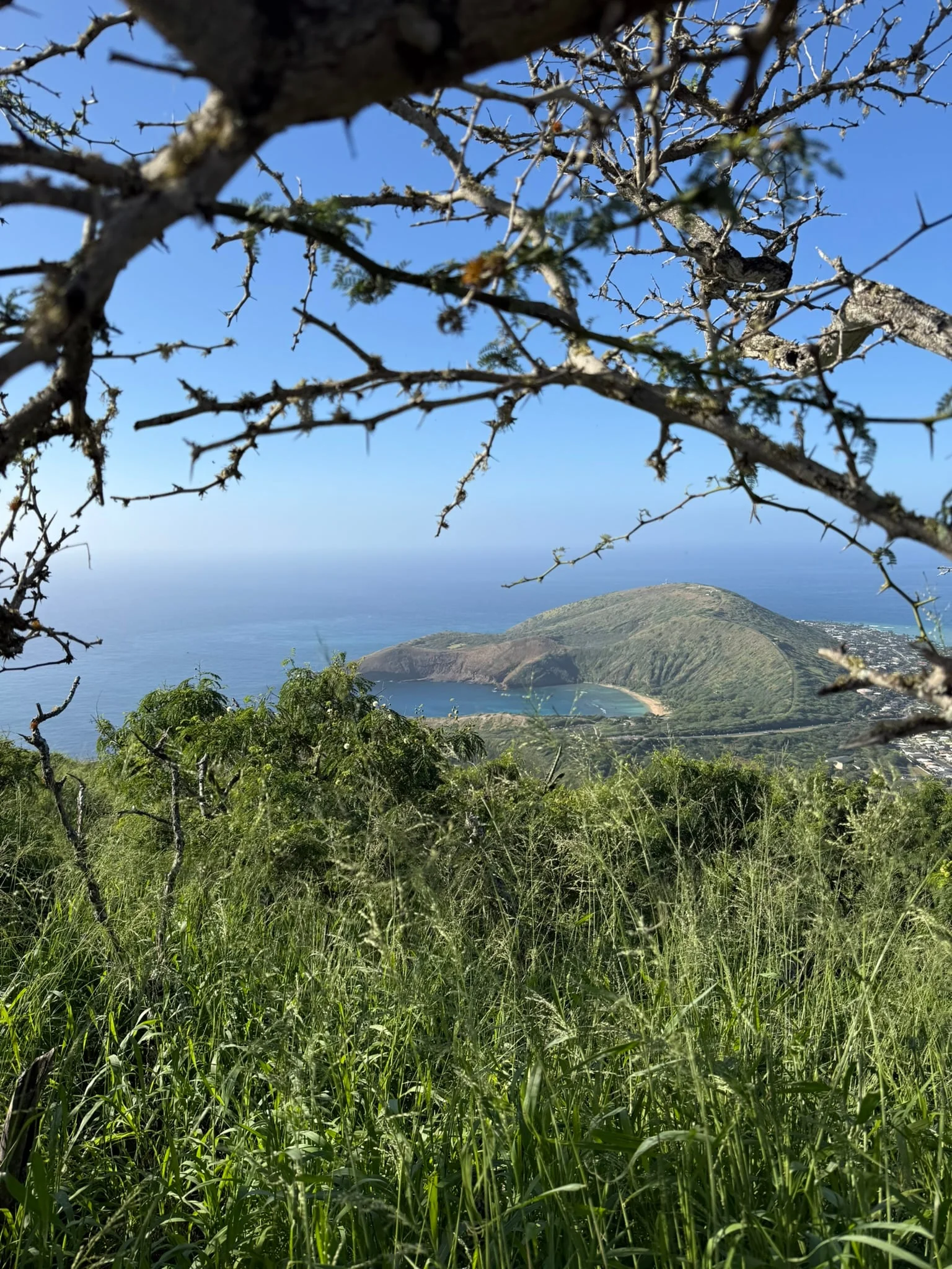 Hanauma Bay 2