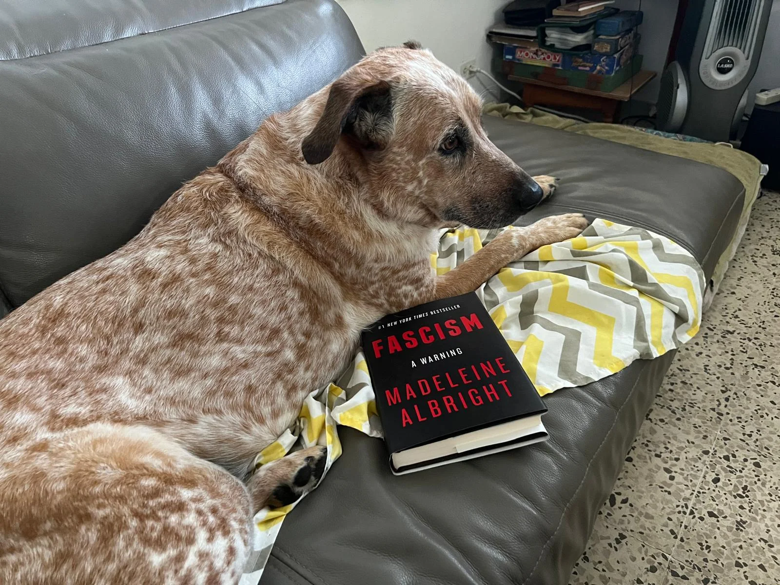 Sage reading